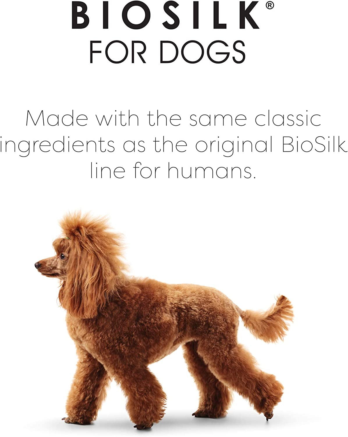 Silk Therapy Conditioning Detangling Spray for Dogs with Natural Coconut Oil - Dog Matted Hair Detangler Conditioner for Dogs, Dematting Grooming Supplies, 7 Fl Oz