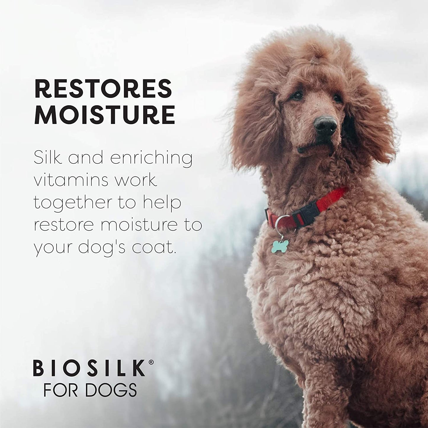 Silk Therapy Conditioning Detangling Spray for Dogs with Natural Coconut Oil - Dog Matted Hair Detangler Conditioner for Dogs, Dematting Grooming Supplies, 7 Fl Oz