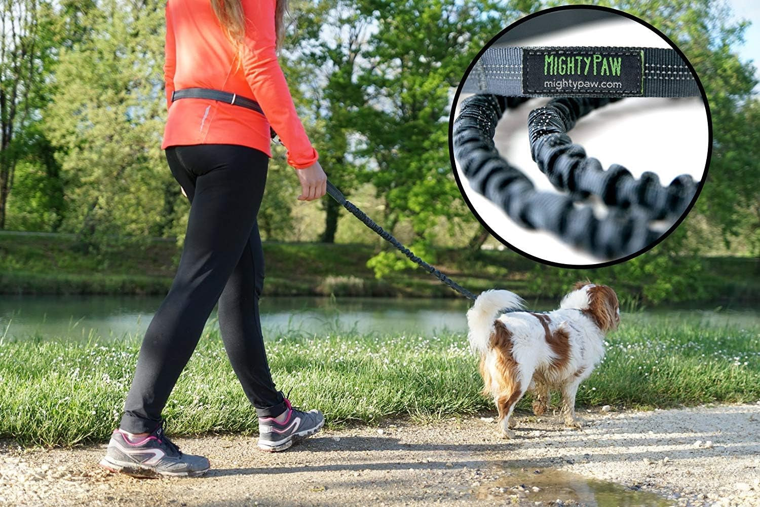 Hands Free Dog Leash | Bungee Waist Leash for Dog Walking. Pet Running Hands Free Tether for Large, Medium & Small Breeds. Pet Waist Belt (36" - 48") up to 150 Lbs - Gray